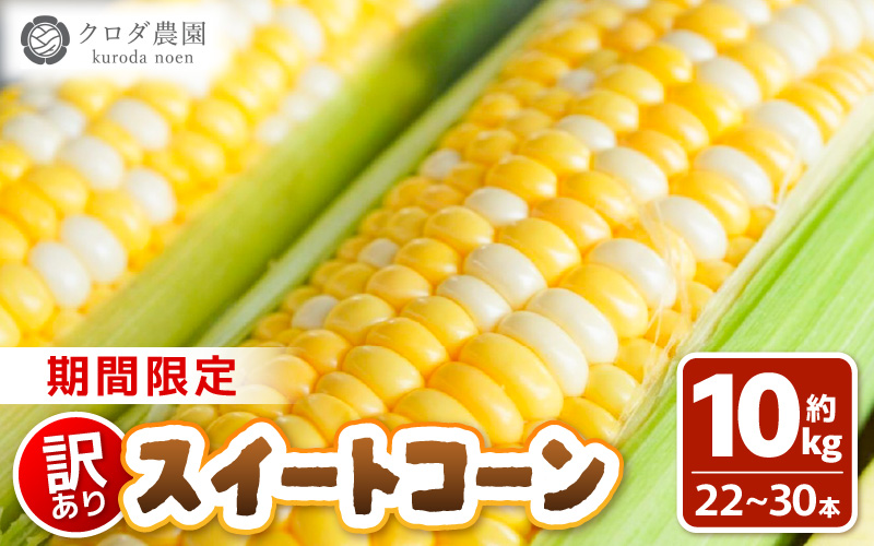 【先行予約】【訳あり】農場直送 鮮度抜群 スイートコーン( とうもろこし )  約10kg（22本～30本)【2026年7月上旬より順次発送予定】【お楽しみ バーベキュー 冷凍保存可能 焼肉 おやつ ご飯のおとも 野菜 国産 産地直送】 [e62-a010]