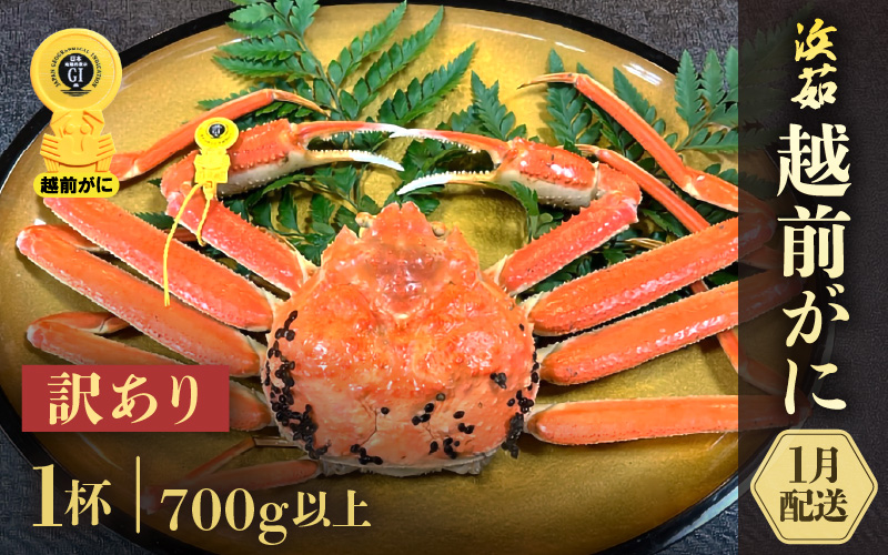 【訳あり】≪浜茹で≫越前がに 1杯（生で700g前後）【雄 ズワイガニ かに カニ 蟹 越前ガニ 姿 ボイル 冷蔵 福井県】【1月発送分】希望日指定可 備考欄に希望日をご記入ください [e68-x006【】01]