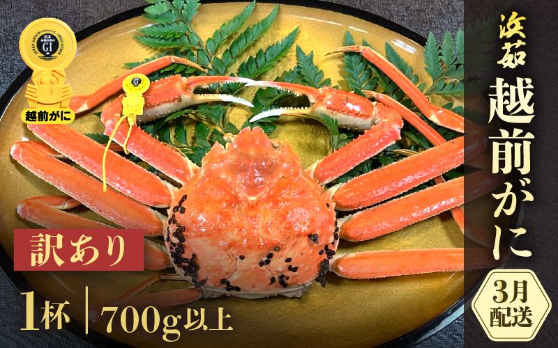 【訳あり】≪浜茹で≫越前がに 1杯（生で700g前後）【雄 ズワイガニ かに カニ 蟹 越前ガニ 姿 ボイル 冷蔵 福井県】【3月発送分】希望日指定可 備考欄に希望日をご記入ください [e68-x006【】03]