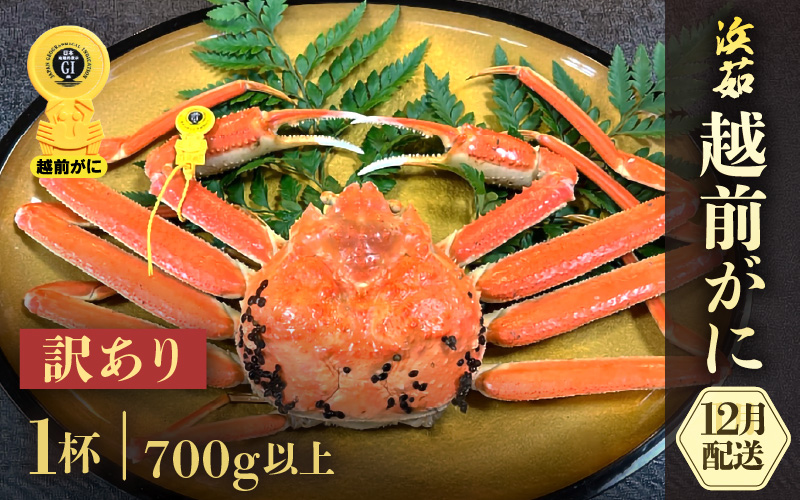 【訳あり】≪浜茹で≫越前がに 1杯（生で700g前後）【雄 ズワイガニ かに カニ 蟹 越前ガニ 姿 ボイル 冷蔵 福井県】【12月発送分】希望日指定可 備考欄に希望日をご記入ください [e68-x006【】12]