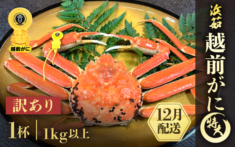 【訳あり】≪浜茹で≫越前がに 特大サイズ 1杯（生で1kg以上）【雄 ズワイガニ かに カニ 蟹 越前ガニ 姿 ボイル 冷蔵 福井県】【12月発送分】希望日指定可 備考欄に希望日をご記入ください [e68-x007【】12]