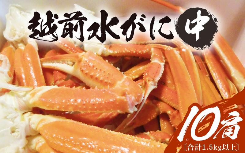 【期間限定】浜ゆで 越前産水がに中サイズ 10肩（足のみ2肩あたり300～400g） 合計1.5kg以上 産地直送 食べやすい【雄 ズワイガニ 越前ガニ 足のみ ボイル 冷蔵 かに カニ 蟹 福井県】希望日指定可 備考欄にメールアドレスをご記入ください [e68-x009]