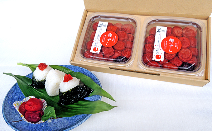うめっぽの梅干600g (300g×2) セット　福井県おおい町産梅使用