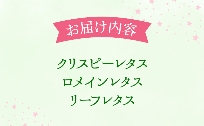 【水耕栽培】星のブーケレタス3種セット（小）（クリスピーレタス 2株、ロメインレタス 1株、リーフレタス 1株）