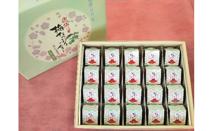 飛梅の里 梅たっぷりぜりー 20個入 福井県おおい町産 うめ 使用