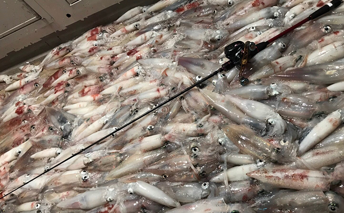 海生丸 釣り船乗船券（1名様　乗合便）