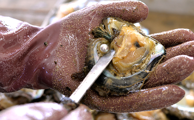 若狭パール艶々あこや真珠至宝の大珠8mm K18ペンダントトップ E