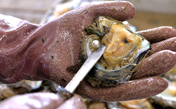 若狭パール 艶々あこや真珠 編み込みボールペンダントL