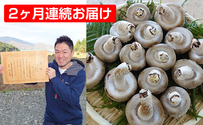 【2ヶ月連続】菌床による、生シイタケで「おーい菌床しいたけ」1kg×2ヶ月