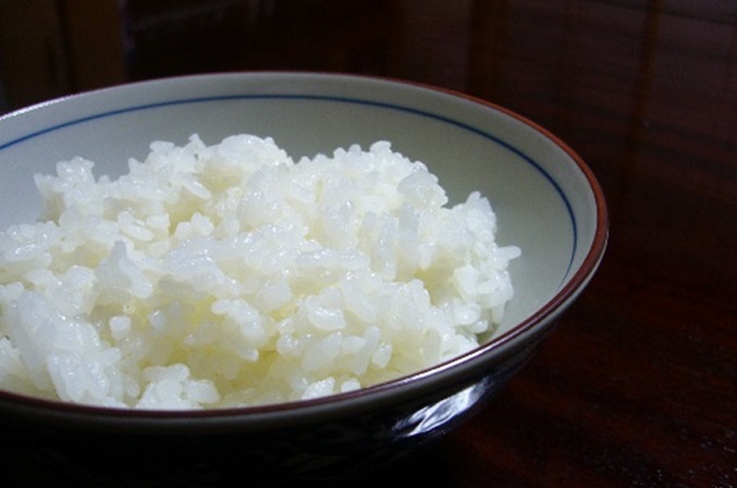 【令和7年度産】名田の荘コシヒカリ7kg お米 白米