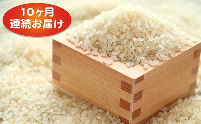 新米！【10ヶ月連続】つきたて自家製精米　減農薬コシヒカリ　5kg
