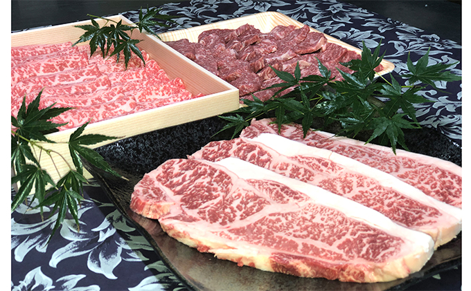 若狭牛 プレミアムセット（ サーロインステーキ用 モモ焼肉用 ローススライス ）