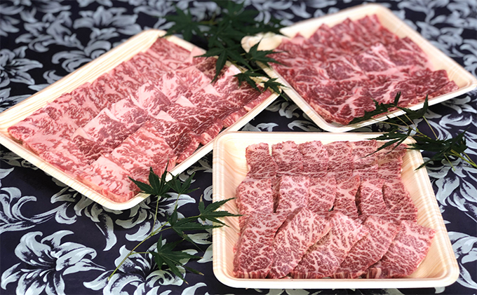 福井県のブランド牛 若狭牛 焼肉セット 【 牛ロース 牛モモ 牛バラ 】