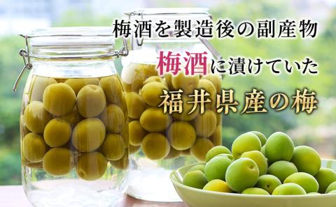 梅酒の梅 10袋セット （梅酒に入れて、おやつに、おつまみに、煮詰めてジャムに）