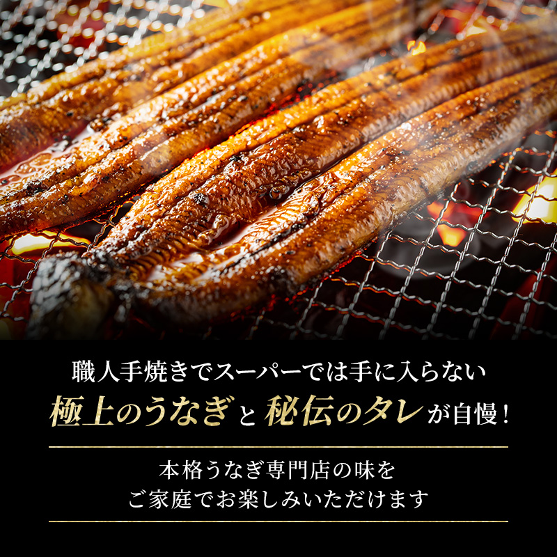 国産うなぎ 特大 蒲焼き 約230g前後 2尾 国産 うなぎ ウナギ 鰻 国産鰻 うなぎの蒲焼き ウナギの蒲焼 国産うなぎ蒲焼 国産鰻の蒲焼 魚 お魚 魚介 魚介類 海鮮 海鮮セット 惣菜 職人 手焼き ギフト 贈り物 プレゼント 福井 福井県 若狭町