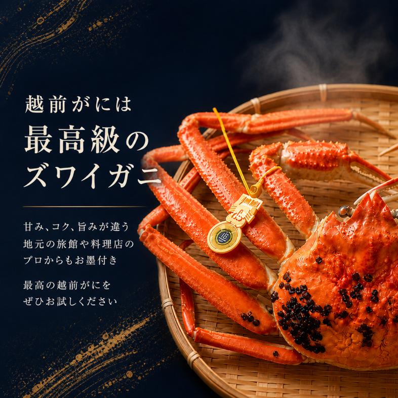 期間限定 茹で 越前ガニ 約800g 2杯 食通もうなる本場の味を