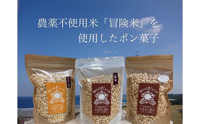 赤ちゃんやペットも食べられる！贈り物にもピッタリ！若狭おやつセット　　目白大学の学生が考案、その3