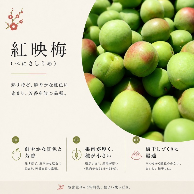 【訳あり】大入り梅干し130g×3袋 合計 390g 【保存容器付き】