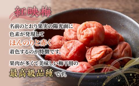 紅映梅の梅干し2つセット  甘くない梅干し(合計900g)