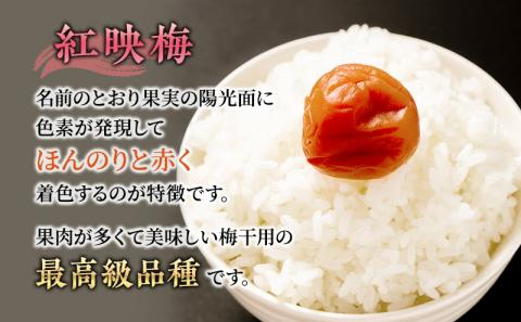 若狭のすっぱい梅干し（650g）紅映梅