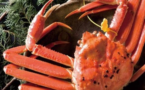 茹で越前ガニ【期間限定】食通もうなる本場の味をぜひ、ご堪能ください。約1.1kg 2尾セット 越前がに 越前かに 越前カニ カニ ボイルガニ