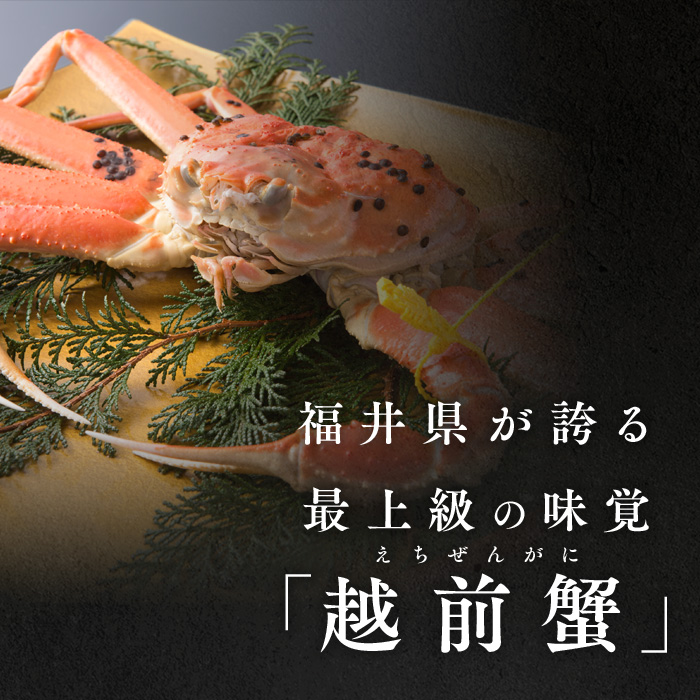 期間限定 茹で 越前ガニ 1kg以上 4杯  食通もうなる本場の味をぜひご堪能ください 茹でガニ 越前カニ 越前蟹 ズワイガニ カニ 蟹 ボイルカニ ボイル蟹 魚介 海鮮 限定 福井 福井県 若狭町