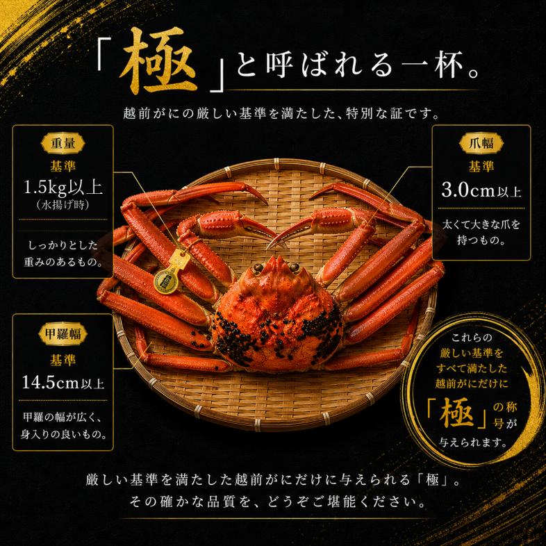 茹で越前ガニ 極！【期間限定】食通もうなる本場の味をぜ