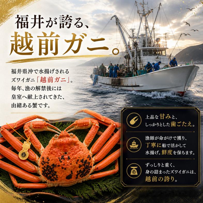 かに 年末に届く 茹で 越前がに 約600g 2杯 セット ずわい蟹 