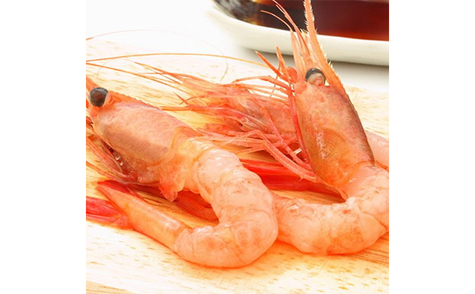 日本海甘えび 子無し 1kg【500g（約50尾）×2箱】
