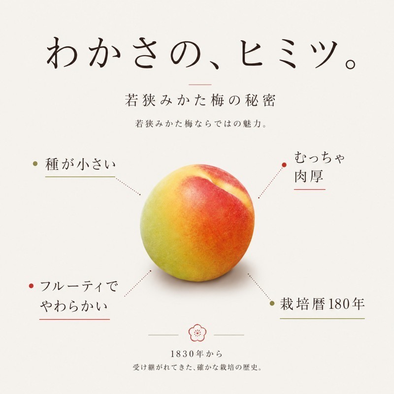 【訳あり】大入り梅干し130g×3袋 合計 390g 【保存容器付き】
