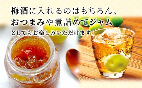 梅酒の梅 10袋セット （梅酒に入れて、おやつに、おつまみに、煮詰めてジャムに）
