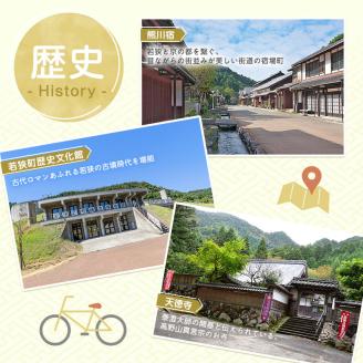 旅行 若狭町 プレミアム宿泊利用券 6000円分 1枚 宿泊補助券 福井県 福井 チケット 宿泊券 旅行券 宿泊 旅館 ホテル 6千円 福井県若狭町