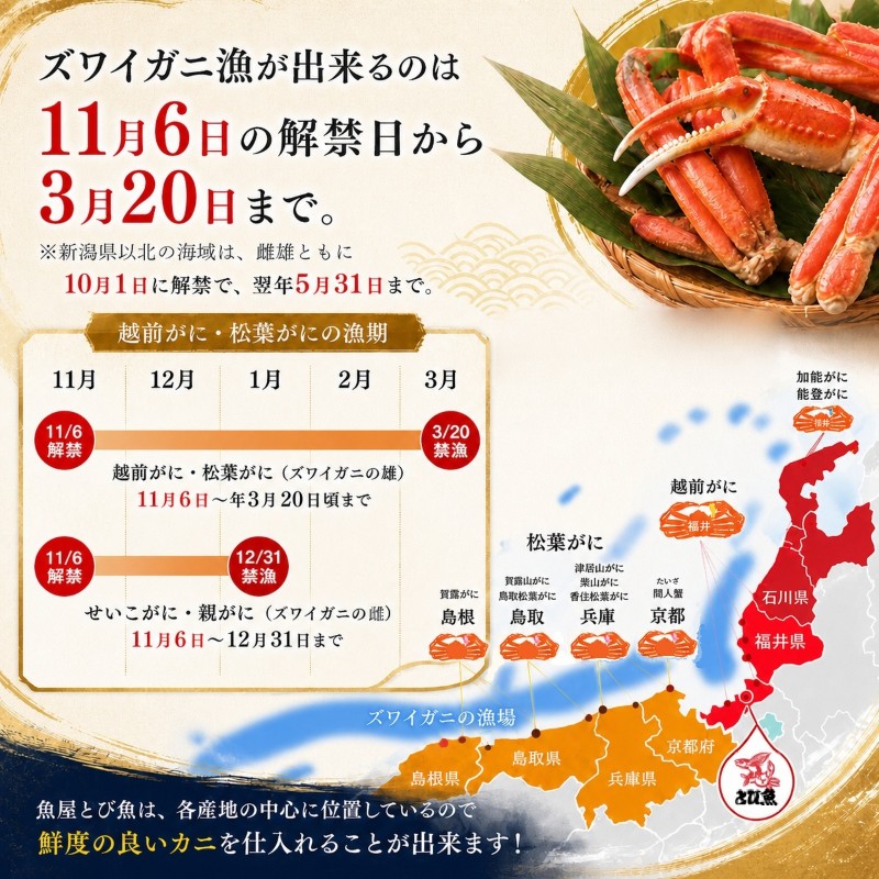 かに 年末に届く 茹で 越前がに 約600g 2杯 セット ずわい蟹 