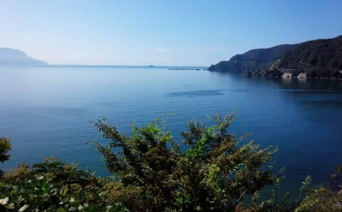 栽培期間農薬不使用 の梅干し （400g）すっぱい 甘くない 梅干し 壷型容器入り