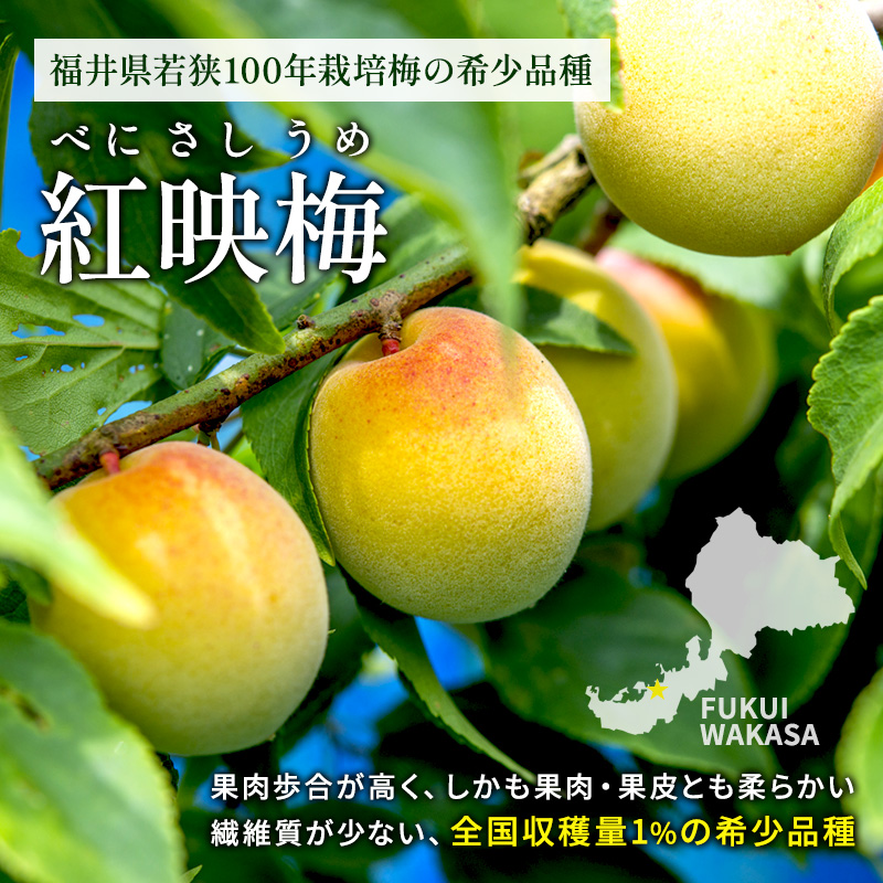 梅酒 BENICHU20°750ml[髙島屋選定品］