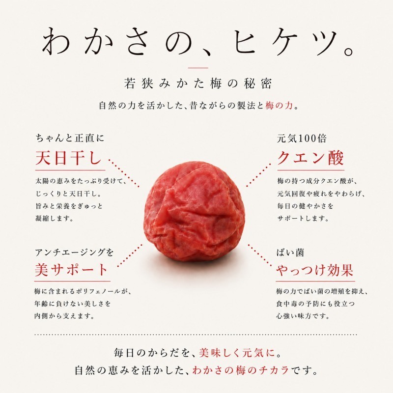 【訳あり】大入り梅干し130g×3袋 合計 390g 【保存容器付き】
