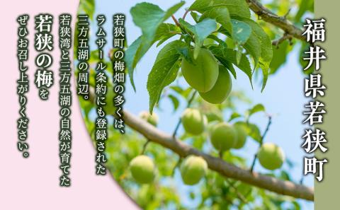 紅映梅の梅干し2つセット  甘くない梅干し(合計900g)