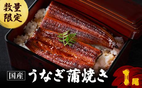 若狭の鰻屋さんのうなぎの蒲焼き1尾