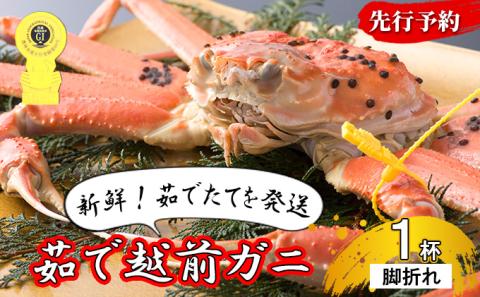 訳あり 期間限定 茹で 越前ガニ 約600g～700g未満 1杯  脚折れ 茹でガニ 越前カニ 越前蟹 ズワイガニ ずわい蟹 かに 蟹 ボイルカニ ボイル蟹 魚介 魚介類 海鮮 限定 訳アリ 福井 福井県 若狭町