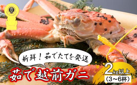 茹で越前ガニ【期間限定】食通もうなる本場の味をぜひ、ご堪能ください。 約2kg以上（3～6杯）訳あり（脚折れ含む）越前がに 越前かに 越前カニ ずわいがに かに カニ ボイルガニ