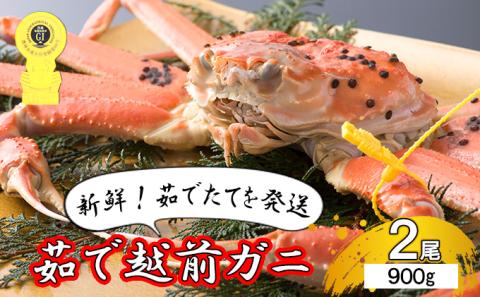茹で越前ガニ【期間限定】食通もうなる本場の味をぜひ、ご堪能ください。約900g 2尾セット 越前がに 越前かに 越前カニ カニ ボイルガニ