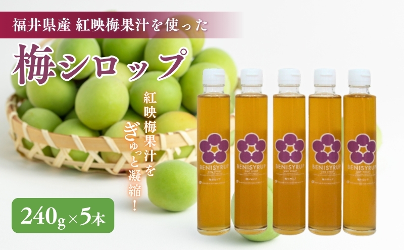 梅シロップ（ベニシロップ）5本