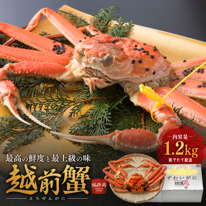 期間限定 茹で 越前ガニ 約1.2kg以上 1杯  食通もうなる本場の味をぜひご堪能ください 茹でガニ 越前カニ 越前蟹 ズワイガニ カニ 蟹 ボイルカニ ボイル蟹 魚介 海鮮 限定 福井 福井県 若狭町