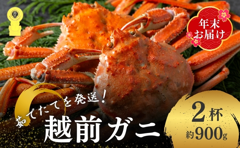 茹で越前ガニ【年末お届け】食通もうなる本場の味をぜひ、ご堪能ください。約900g 2尾セット 越前がに 越前かに 越前カニ カニ ボイルガニ