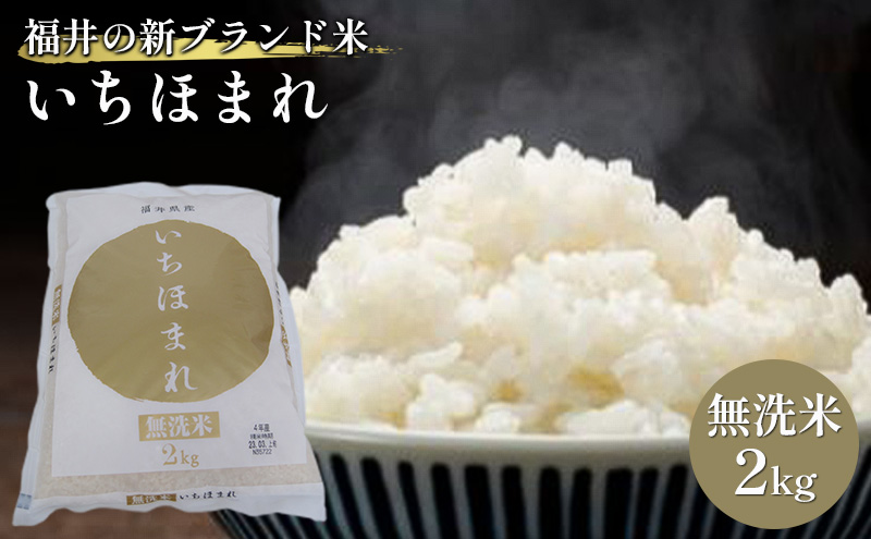 無洗米　いちほまれ2kg（令和7年産）福井の新ブランド米 お米 白米 精米 名作 粒感 粘り 絶妙 優しい 甘さ
