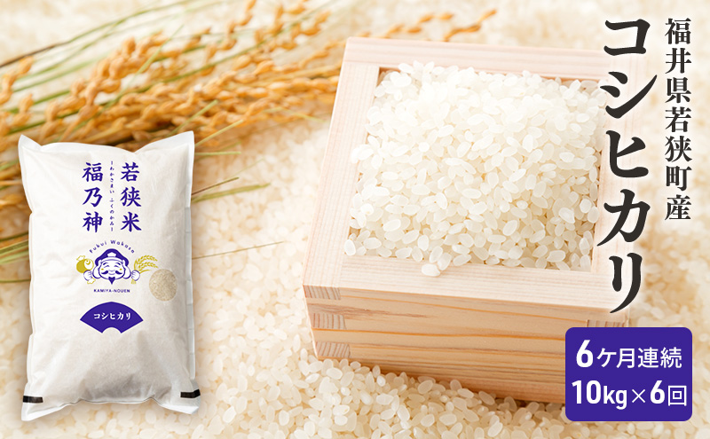 6ケ月連続 福井県若狭町 コシヒカリ （一等米） 10kg（5kg×2）（神谷農園） お米 ブランド米 銘柄米 ご飯 おにぎり お弁当 産地直送 和食 主食