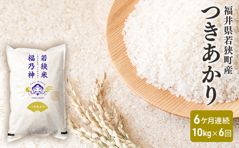 6ケ月連続 福井県若狭町 つきあかり （一等米）  10kg（5kg×2）（神谷農園） お米 ブランド米 銘柄米 ご飯 おにぎり お弁当 産地直送 和食 主食