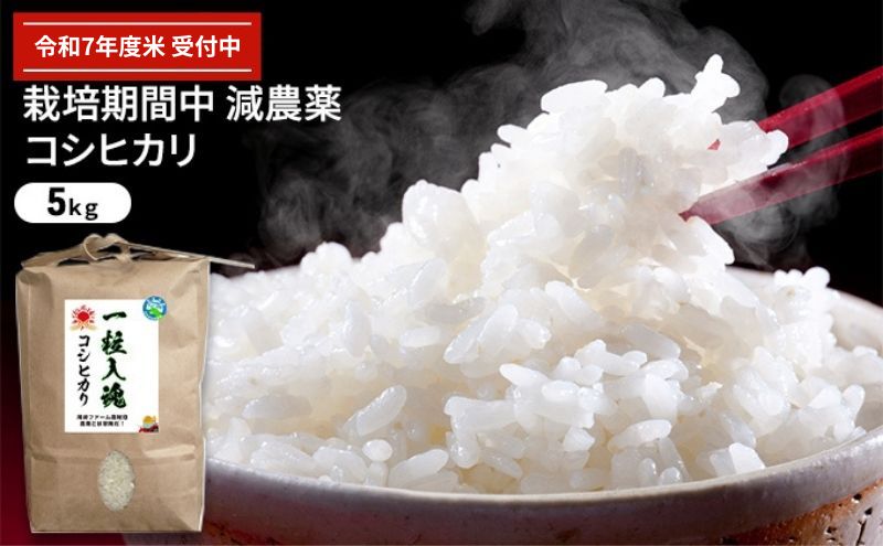 令和7年産 栽培期間中減農薬 コシヒカリ 5kg　玄米