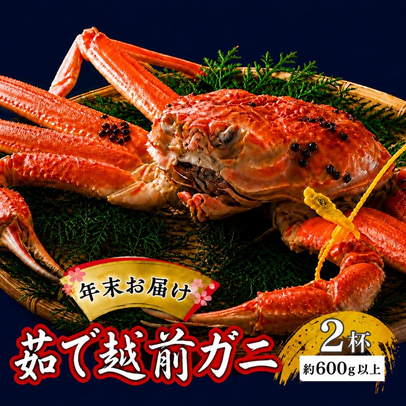 かに 年末に届く 茹で 越前がに 約600g 2杯 セット ずわい蟹 