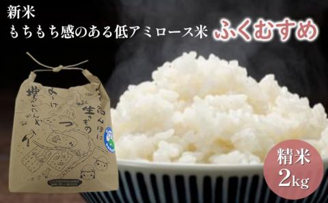 無洗米 いちほまれ2kg（令和５年産）福井の新ブランド米: 若狭町ANAのふるさと納税